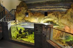 Aquarium de Loudun