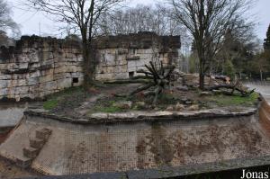 Enclos des lions d'Asie en cours de rénovation