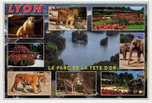 Carte postale