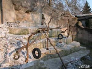 Enclos des magots
