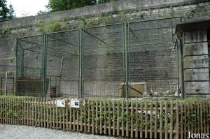 Ancien enclos du tigre, occupé par des vautours