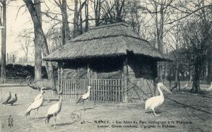 Carte postale