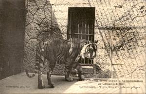 Carte postale