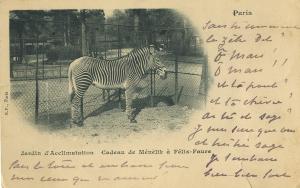 Carte postale