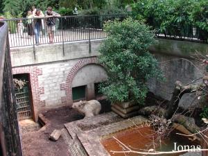 Fosse aux ours