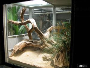 Vivarium