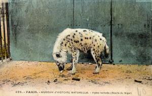 Carte postale