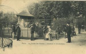 Carte postale