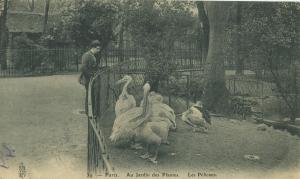 Carte postale