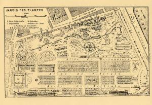 Carte postale