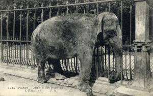 Carte postale