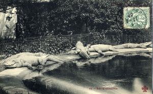 Carte postale