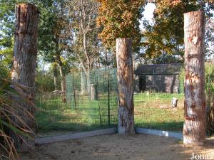 Enclos des bucorves et des marabouts