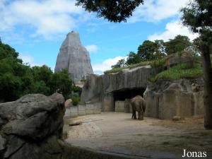 Installation des éléphants et Grand Rocher en arrière plan