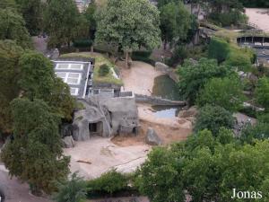 Installation des éléphants