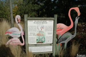 Panneau d'information à propos des flamants