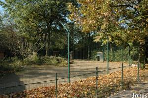 Ancien enclos des guépards aujourd'hui occupé par des kangourous roux