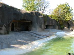 Bassin des otaries, partiellement rénové