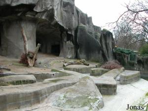 Ancien enclos des ours blancs