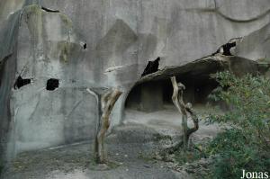 Une des anciennes fosses des ours