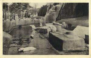 Carte postale