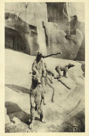 Carte postale