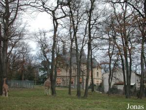 Enclos des girafes