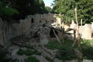 Installation des ours à lunettes