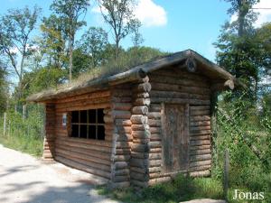 Cabane de trappeur