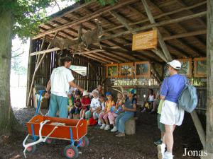 Présentation des cervidés par un guide du parc