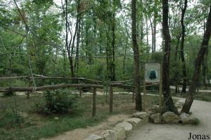 Territoire des capucins bruns