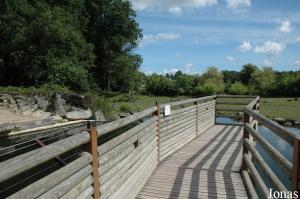 Passerelle vers la seconde plaine africaine