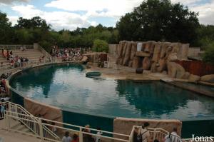 Bassin de spectacle des otaries