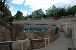 Bassin de spectacle des otaries