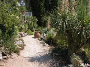 Allée du Jardin Exotique de Sanary