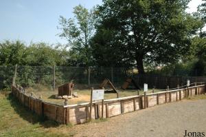 Enclos des cobayes, des lapins et des cochons nains