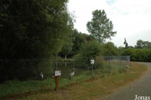 Enclos des grues et des oies à tête barrée