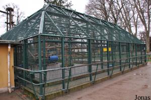 Cage du groupe de macaques de Tonkean