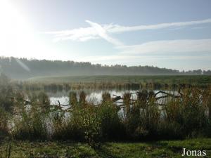 Petite Dombes