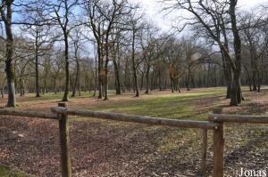 Zone des grands herbivores, cerfs, poneys et bisons
