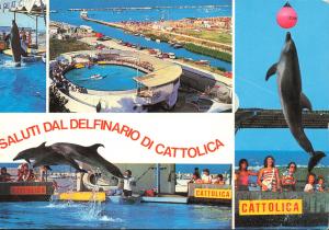 Carte postale