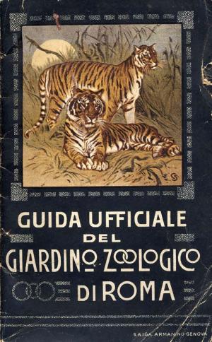 Guide 1911