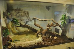 Vivarium