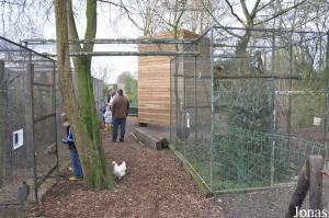 Complexe sud-américain pour saimiris, agoutis, aras et agamis