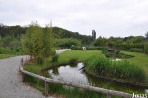 Ancien enclos des cigognes blanches