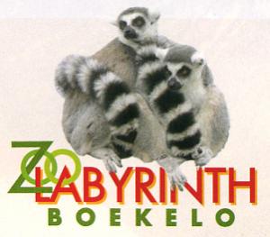 Logo 2008