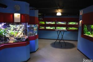 Aqua Zoo Leerdam