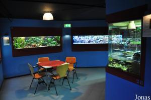 Aqua Zoo Leerdam
