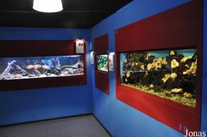 Aqua Zoo Leerdam