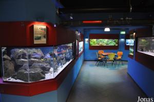 Aqua Zoo Leerdam
